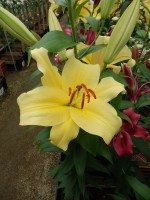 [5207 Eldoret Mak No02.JPG]